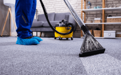 The 303 Carpet Cleaning Guide to Carpet Care: Keep Your Lakewood Home Clean, Healthy, and Beautiful
