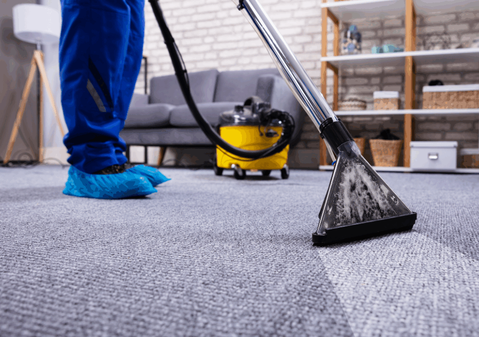 The 303 Carpet Cleaning Guide to Carpet Care: Keep Your Lakewood Home Clean, Healthy, and Beautiful