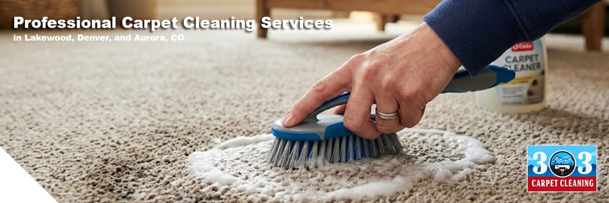 carpet cleaning service in ventura
