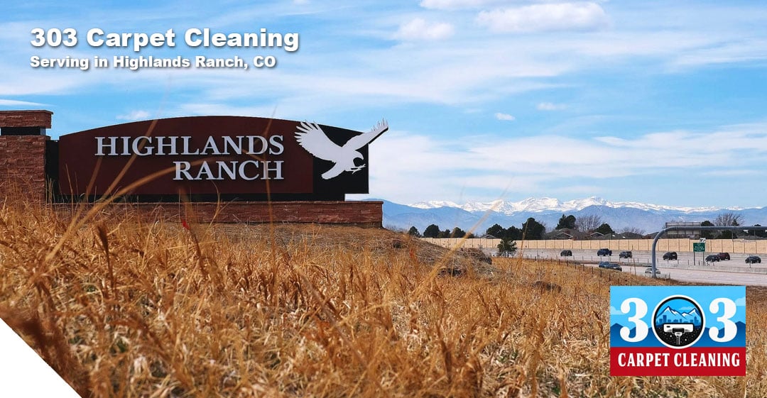 cleaning services in moonpark 