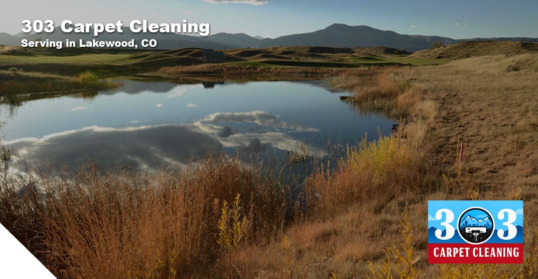 cleaning services in ventura